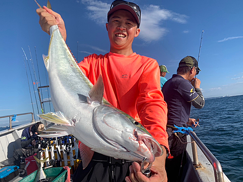 ブリの釣果