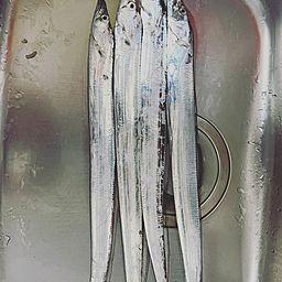 タチウオ