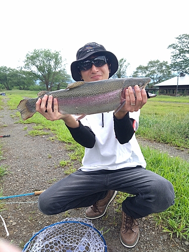 レインボートラウトの釣果