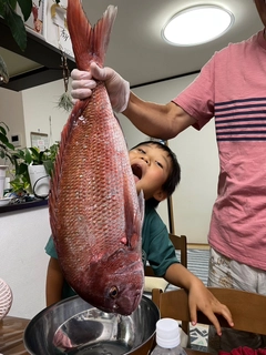 マダイの釣果