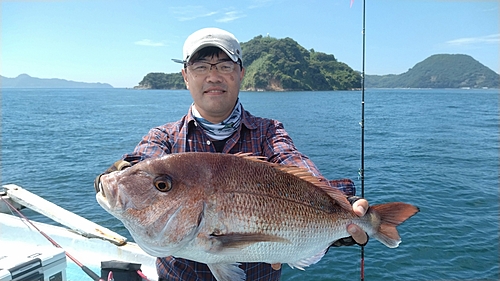 マダイの釣果