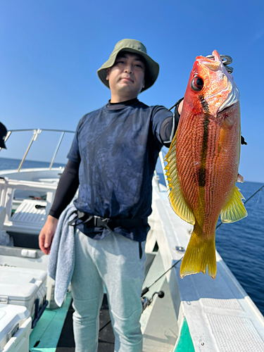 アカイサキの釣果