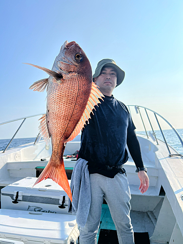 マダイの釣果