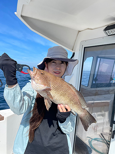 オオモンハタの釣果