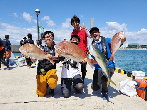 ハマチの釣果