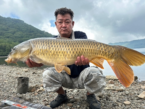 コイの釣果