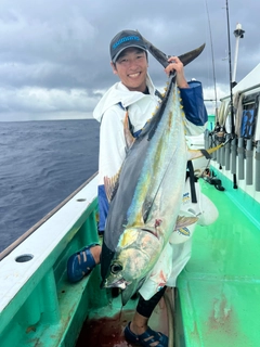 キハダマグロの釣果