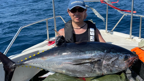 クロマグロの釣果