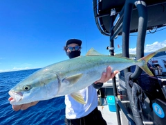 ハマチの釣果