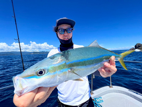 ツムブリの釣果