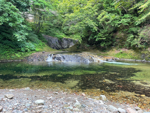 イワナの釣果