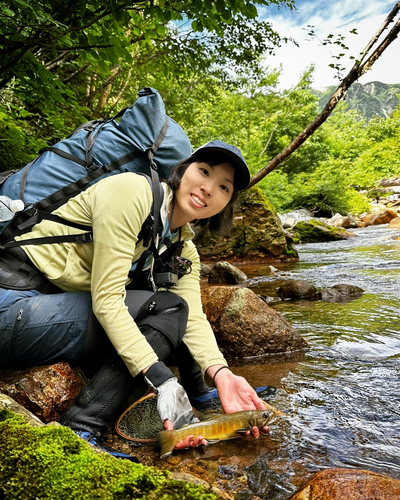 ニッコウイワナの釣果