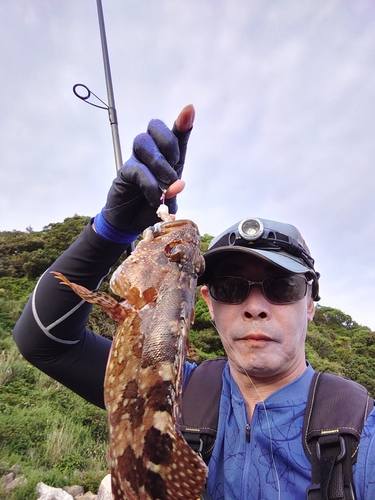 ガシラの釣果