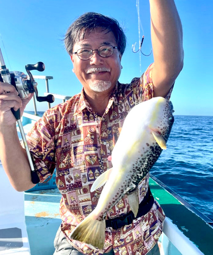 ショウサイフグの釣果