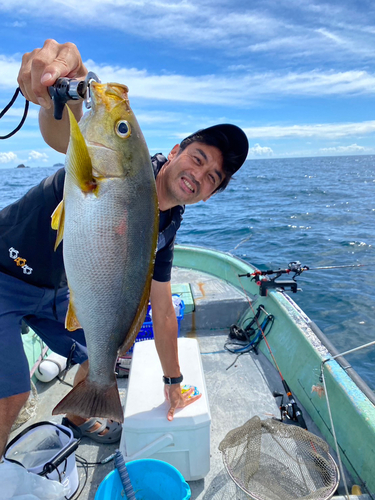 イサキの釣果