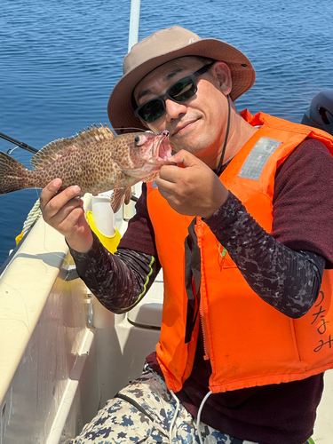 オオモンハタの釣果