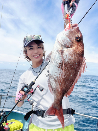 マダイの釣果