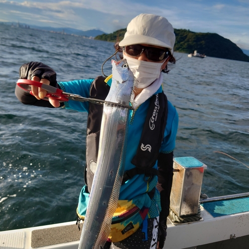 タチウオの釣果