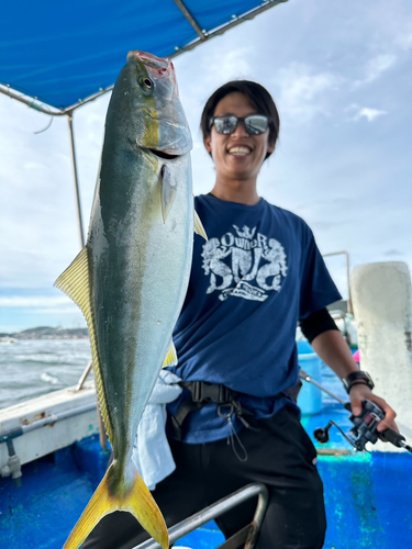 ハマチの釣果