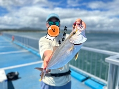 ショゴの釣果