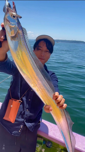 タチウオの釣果