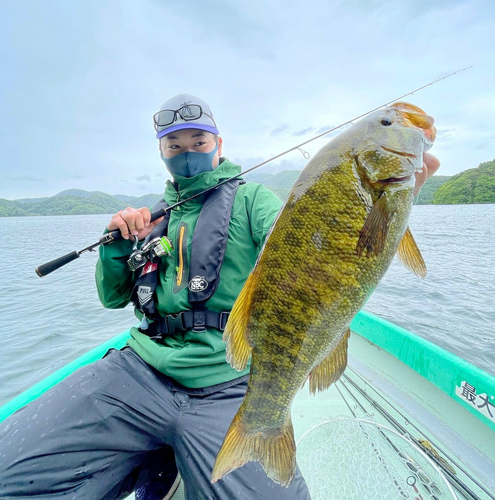 スモールマウスバスの釣果