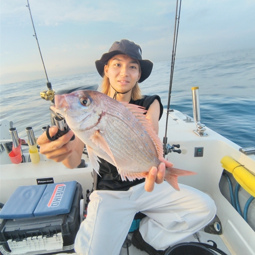 ハナダイの釣果