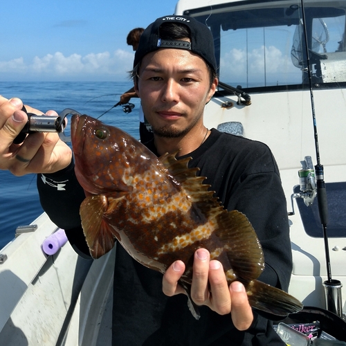 キジハタの釣果