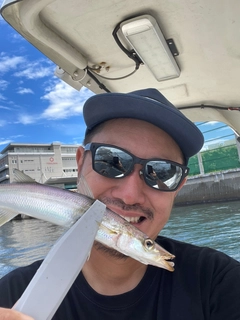 カマスの釣果