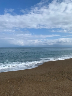 イナダの釣果