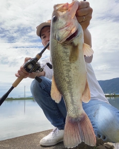 ブラックバスの釣果