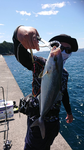 ネリゴの釣果