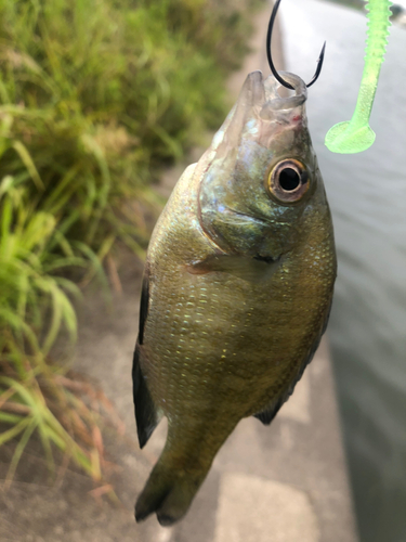 Fall Fishing Outfit