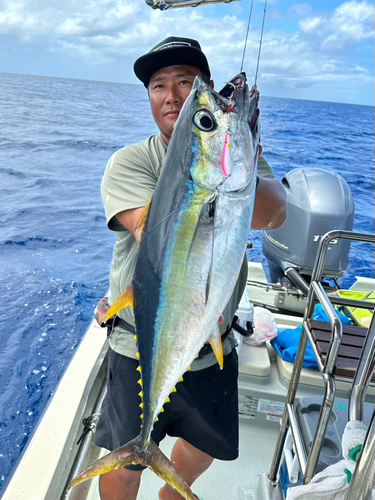 キハダマグロの釣果