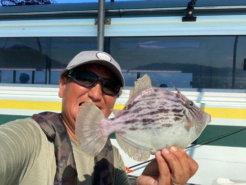 カワハギの釣果