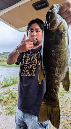 スモールマウスバスの釣果