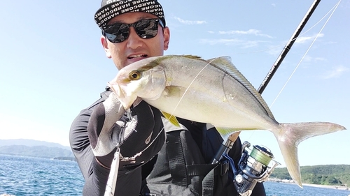 ショゴの釣果