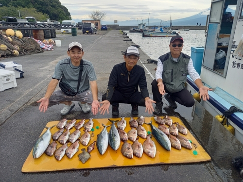 マダイの釣果