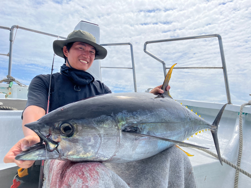 キハダマグロの釣果