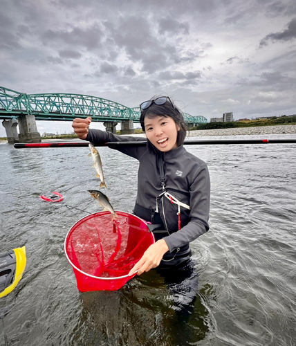 アユの釣果