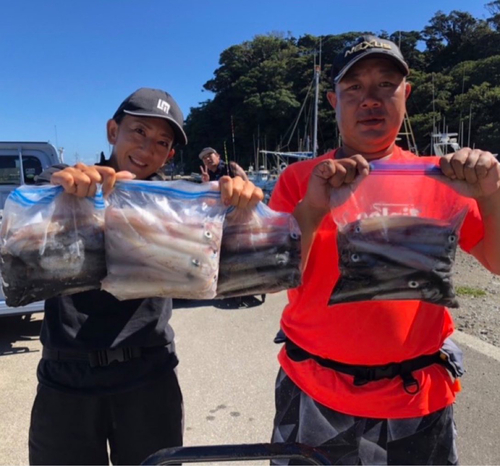 ヤリイカの釣果