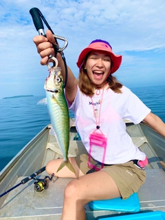 ムロアジの釣果