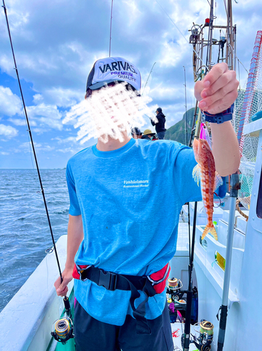 ミナミアカエソの釣果