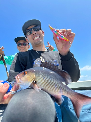 バラフエダイの釣果