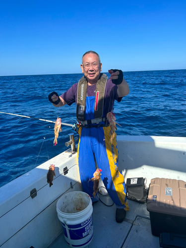 ヤナギノマイの釣果