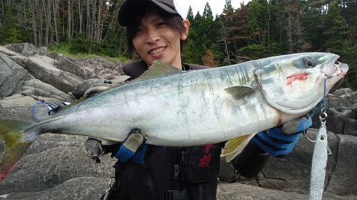 イナダの釣果