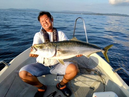 ブリの釣果