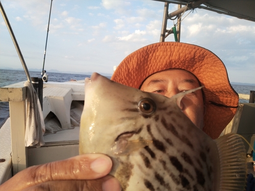 カワハギの釣果