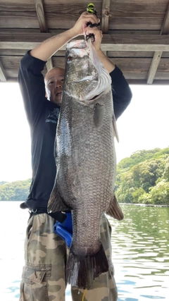 アカメの釣果