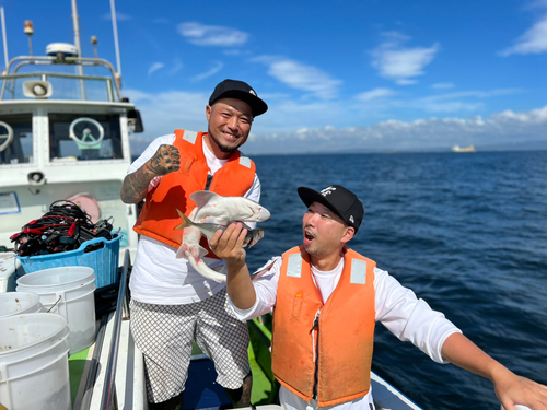 マアジの釣果